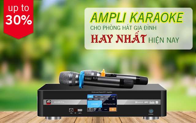 Amplifier Karaoke 3 in1 Digital
